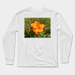 Exposition Park Rose Garden Study 3 Long Sleeve T-Shirt